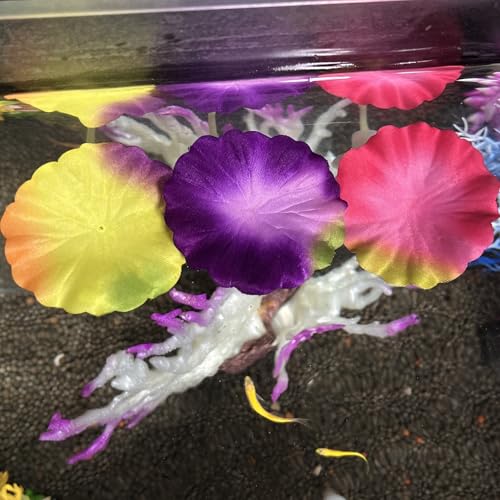 3 pcs Set Betta Fish Bed Leaf Hammock for Betta Fish, Practical Resting Spot, Comfortable Rest Area for Fish Aquarium Decoration Ornaments (3 x Mix Color) - color: 3 x Mix Color
