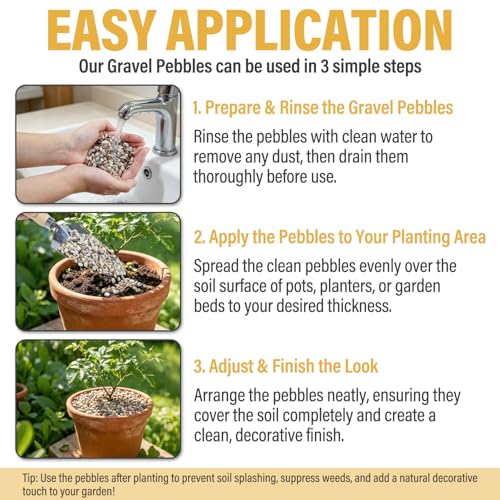 7lb Succulent and Cactus Gravel Pebbles, 1/5 Inch Mixed Color Natural Rocks for Fish Tank, Indoor Plants, Aquarium, Vases, Landscaping - color: AK Stones, size: 7lb