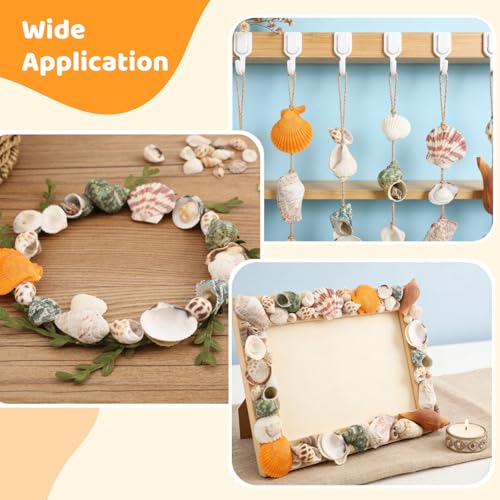 200-320 Pcs Mixed Sea Shells for Crafting, 1000 g Natural Seashells with Plastic Starfish, Various Sizes Seashells for Decoration, DIY Craft Projects, Home Decor and Fish Tank