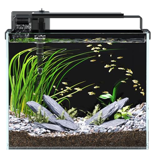 3 Gallon Fish Tank Aquarium Kit with Filter, LED Light with Timer, Siphon Vacuum Cleaner, Lid, Self-Cleaning Glass Rimless Betta Tank - size: 3 Gallon without Heater