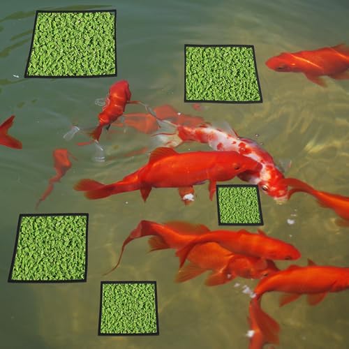 Fish Feeding Ring - Floating Plant Corral Set for Aquarium Accessories, 5pcs, Black - color: Black