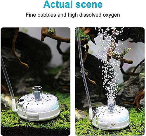 UPETTOOLS Mini Aquarium Sponge Filter, Small Internal Fish Tank Filter Detachable Submersible Filter with Air Stone auxiliary filter Suitable for 5-20 Gallon Tank (Air Pumps and Air Tube not Included) - size: BT302