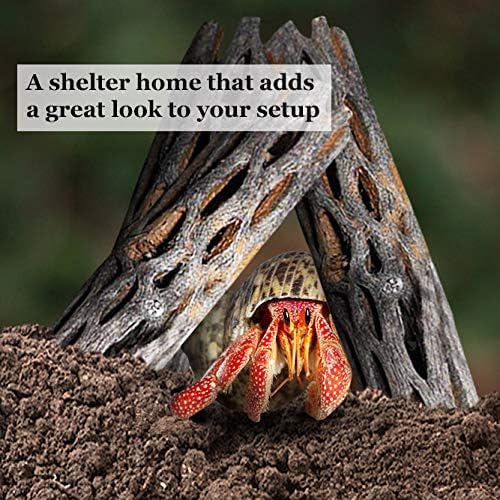 SunGrow Hermit Crab Woods, Climbing Logs, Chews, Keep Hermies Busy and Active, Long Dried Aquarium Décor Adds Raw Beauty, 3 Pcs
