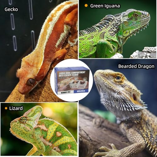 Escape Proof Reptile Feeding Dishes with Suction Cups, Plastic Anti-Escape Mealworms Bug Food Feeder Bowl for Lizard Leopard Gecko Chameleon Terrarium Tank Accessories