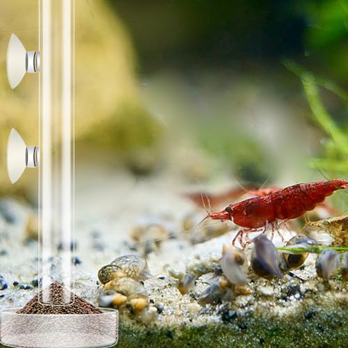3 Pcs Shrimp Feeding Tube and Dish Set Clear Crystal Glass Shrimp Feeder Tube Tray Aquarium Feeder Tube Shrimp Feeding Dish Bowl Suction Cups for Fish Tank Aquarium Feeding Supplies Tools