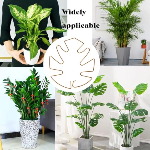 Spiritlele 5 Pcs Golden Plant Stem Support Holder Set Monstera Plant Support Clamp Growth Accessories for Indoor Plants Small - color: Golden, size: 5.5x5.1inch
