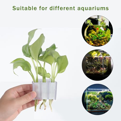 3 Holes Upgraded Aquatic Plant Cup Aquarium Plant Holder for Tank,Aquascape Accessories Decorations- White 2 Pcs - color: White 2 Pcs