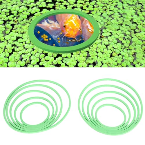 Gavigain Aquarium Feeding Ring Set, 5 Sizes, EVA Foam, Prevents Food, Promotes Water Circulation, Ideal for Fish, Turtles, Plants (10pcs Green) - color: 10pcs Green