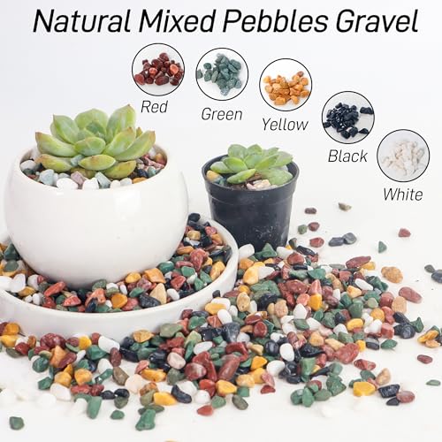 CJGQ 18lb Aquarium Gravel for Plants, 1/4Inch Fish Tank Gravel for Succulent Cactus and Bonsai, Decorative River Rocks Pebbles for Gardening, Flower Pots, Landscaping,Terrarium - color: Mixed Pebble, size: 18lb
