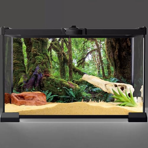 AWERT 36x24 inches Tropical Forest Terrarium Background Green Huge Tree Reptile Habitat Background Rainforest Aquarium Background Durable Polyester Background - size: 36x24in/90x60cm