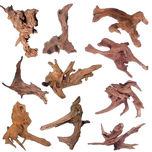 Natural Driftwood for Aquarium Decor, 10-Piece 2''-5'' Small Driftwood for Decorations on Fish Tank, Reptiles Bearded Dragon Accessories or Air Plants
