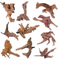 Natural Driftwood for Aquarium Decor, 10-Piece 2''-5'' Small Driftwood for Decorations on Fish Tank, Reptiles Bearded Dragon Accessories or Air Plants