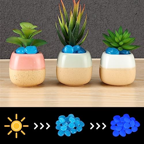 Sasylvia 3000 Pcs Glow in The Dark Rocks 1 Inch Glow Rocks 12.6 LB Garden Glow in The Dark Stone Outdoor Glow in The Dark Pebbles for Landscaping Walkway Pathway Backyard Fish Tank Plant (Dark Blue) - color: Dark Blue