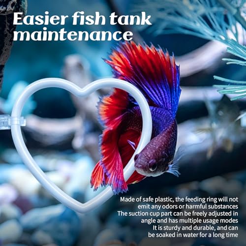 4Pcs Betta Fish Tank Accessories, Betta Hammock, 2 Betta Fish Toys, 1 Betta Feeding Ring Provide a Comfortable Environment for Rest and Activities at Betta.