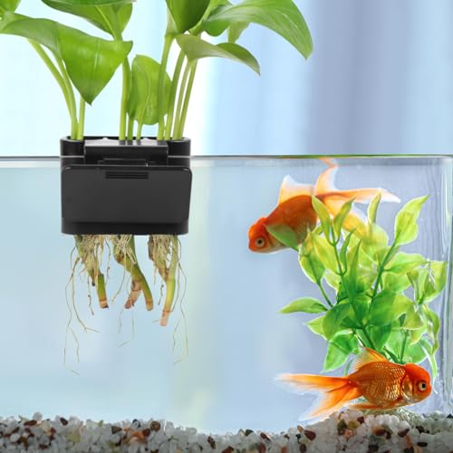 3 Holes Upgraded Aquatic Plant Cup Aquarium Plant Holder for Tank,Aquascape Accessories Decorations- Black 4 Pcs - color: Black 4 Pcs