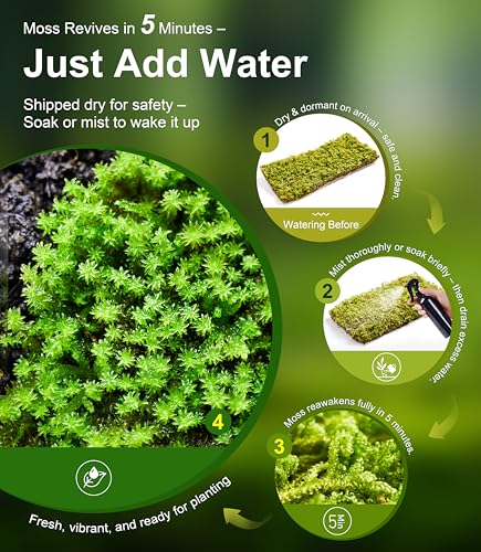 Live Moss Duo Pack 2 Types of Real Live Sheet/Sphagnum Moss for Terrariums, Terrarium Mosses Landscaping, Reptile Tank Accessories, Snake & Gecko Humidity Substrate Mosses for Crafts & Plant Décor