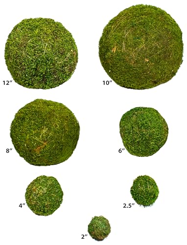SuperMoss (21807) Moss Balls, Fresh Green, 2" (6 pack) - color: Fresh Green, size: 2" (6 pack)