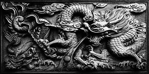 Dragon Relief Aquarium Background Poster PVC Fish Tank Decorations Landscape (48" x 24"/ 122 x 61cm) - size: 48" x 24"/ 122 x 61cm