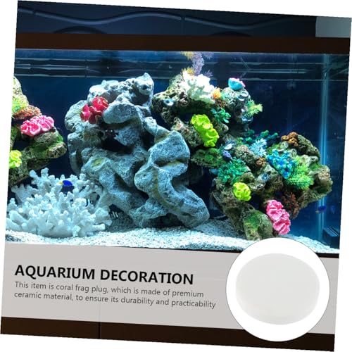 10pcs Fish Tank Coral Base Terrarium Cave Sand Stand Coral Breeding Bases Gasket Large Fish Tank Ornaments Gel Pad Coralline Serving Tray Round Conch Siphon Ceramics