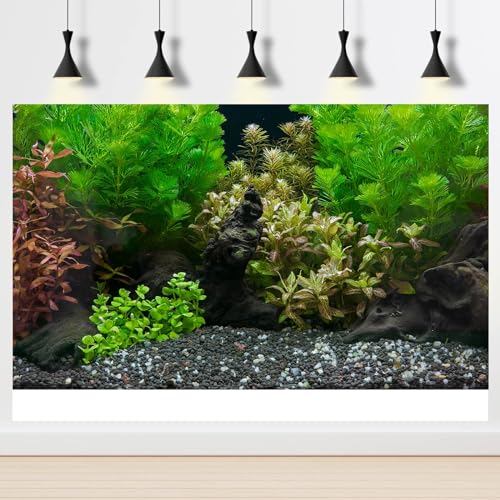 Aquarium Background Exquisite Underwater Grass Leaves with Pebbles Aquarium Backdrop Vivid Green Aquatic Plant Stone with Dead Woods and Fresh Leaves Tank Background Decors Vinyl 24x12in - color: Cork Grey, size: 24(W)x12(H)inches/ 60(W)*30cm(H)