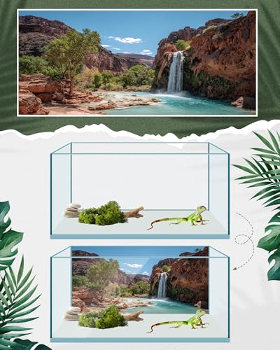 4 Pcs 36 x 18 Inch Reptile Tank Background Reptile Tank Accessories Polyester Terrarium Background Decor for Leopard Gecko Turtle Bearded Dragon(Canyon Waterfall, Bark, Cactus, Gobi Desert)