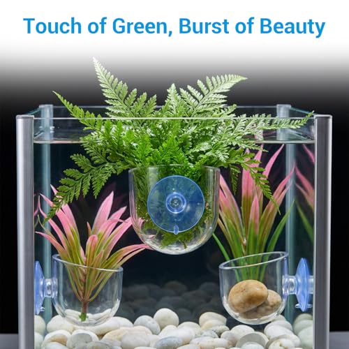 3 Pcs Aquarium Plant Holder, 2 Sizes Fish Tank Aquatic Plant Pot with Suction Cups, Red Worm Fish Feeder, Acrylic Clear Round Betta Tank Accessories for Water Feature Decoration