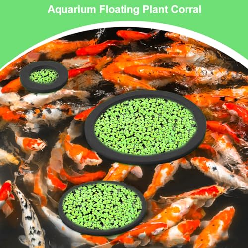 Gavigain Aquarium Feeding Ring Set, 5 Sizes, EVA Foam, Prevents Food, Promotes Water Circulation, Ideal for Fish, Turtles, Plants (10pcs Black) - color: 10pcs Black