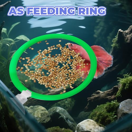 Beta Fish Aquariums Accessories, 1 Fish Mirror with Floating Ball & 2 Exercise Training Ring Toys, Fish Feeding Ring, Betta Fish Toys Set for Tank, Enrichment Toys for Fish - color: green ring