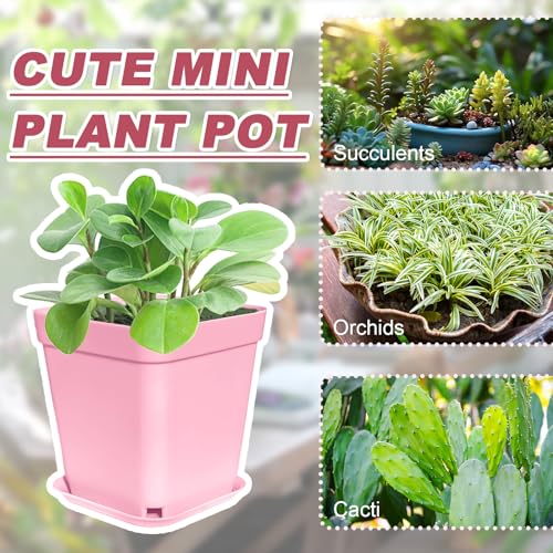Anyumocz 70 PCS 3" Colorful Plastic Plant Pots,Plastic Square Nursery Pot,Seedling Nursery Pots with Saucers for Indoor Outdoor Plants,Garden,Flower,Home,Office,Balcony Decor - color: 7 Colors