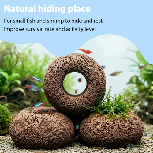 6Pcs Volcanic Rock Aquarium Hide, Plant Weight Holder, Natural Aquarium Decoration for Shrimp Fish Terrarium - size: Oval Volcanic Rock