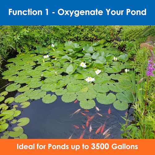 AquaMiracle All-in-One Koi Pond Aerator for Outdoor Ponds, Pond Air Pump with Airline Tubing, Air Stones, Check Valves & Air Filter Pad