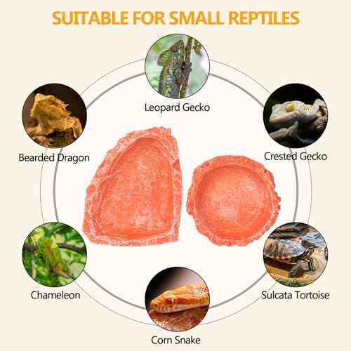 Reptile Water Dish Food Bowl for Bearded Dragon Tank Accessories, Hyggerzoo Reptile Rock Feeder for Tank 2 Pack Corner Resin Terrarium Bowl for Leopard Gecko Hermit Crab Tortoise Snake, Orange - color: Orange