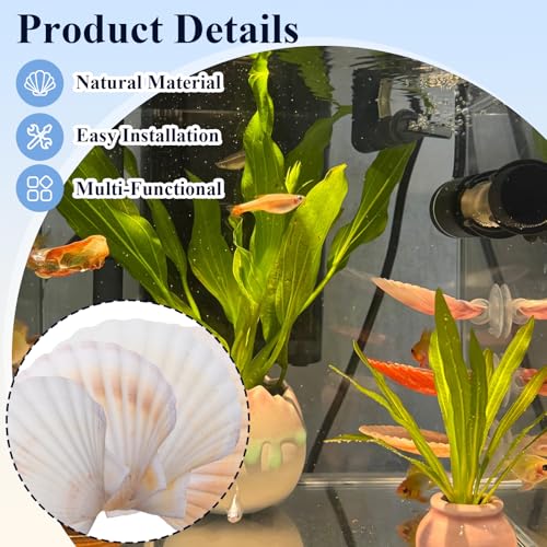 5 Pcs Betta Fish Bed Shell Hammock Betta Resting Spot with Suction Cups Natural Shell Hideouts & Spawning Grounds for Betta, Shrimp, Cichlid, Small Fish Tank Decorations