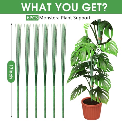 6 Pack 17'' Climbing Plant Support Stakes Moss Pole Monstera Plant Climbers Trellis Plants Stem Supports for Indoor Outdoor Climbing Potted Plants Flower Grow Upwards Green