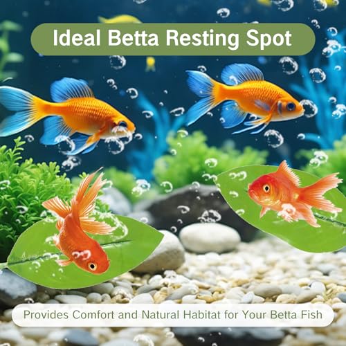 4 Pcs Betta Leaf Hammock for Betta Fish Pad Simulating The Natural Habitat for Tank Floating Resting Spot Safe Comfortable Artificial Leaves for Small Interactive Aquarium Bed Single Leaf