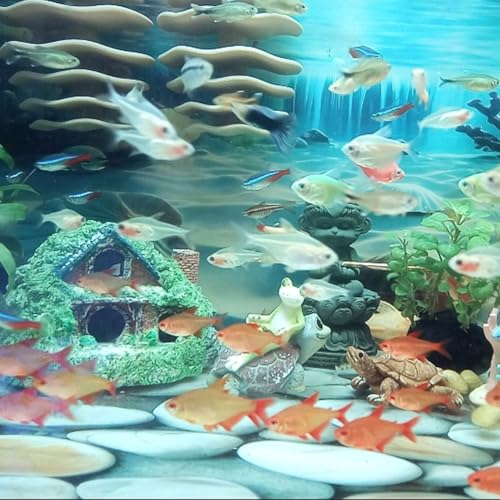 Shrimp Cave Aquarium Ornament, BPA-Free PETG Plastic Fish Shelter Betta Habitat, Hiding Resting Breeding Space for Guppy Shrimp & Aquatic Creatures, Indoor Fish Tank Aquatic Decoration (Black)