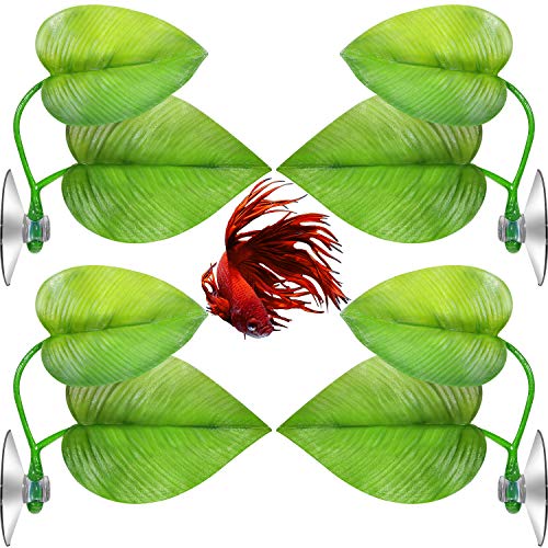 Boao 4 Pieces Betta Fish Tank Accessories Betta Leaf Hammock Pad Simulating The Natural Habitat for Tank Aquarium Spawning Grounds Breeding Resting Bed(Double Leaf) - style: Double Leaf
