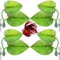 Boao 4 Pieces Betta Fish Tank Accessories Betta Leaf Hammock Pad Simulating The Natural Habitat for Tank Aquarium Spawning Grounds Breeding Resting Bed(Double Leaf) - style: Double Leaf