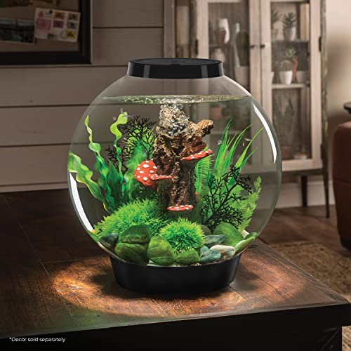 biOrb Classic 30 Acrylic 8-Gallon Aquarium with White LED Lights Modern Tank for Tabletop Display, Black - color: Black, size: 8 Gallon, style: LED Lighting