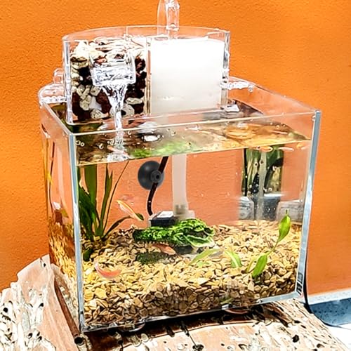 Gatuida 20 Pcs Aquarium Oxygen Pump Suction Cups Strong Rubber Fish Tank Air Pump Holders for Tubing Fixing and Accessories Installation