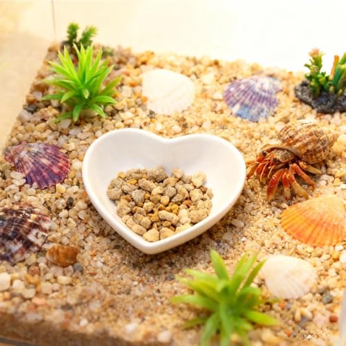 2 Pcs Hermit Crab Food Dish Ceramic Hermit Crab Water Bowl Reptile Water Dish Aquarium Accessory for Bearded Dragon Lizard Gecko Tortoise Snail Frog (White Love Heart)