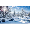 Winter Scenery Aquarium Background Majestic Snowy Spruces Fish Tank Background Snow Covered Frosty Wintry Natural Landscape Terrarium Backgrounds Winter View Reptile Tanl Backgrounds 48x24in - color: Sunny Blue, size: 48(W)x24(H)inches/ 120(W)*60cm(H)