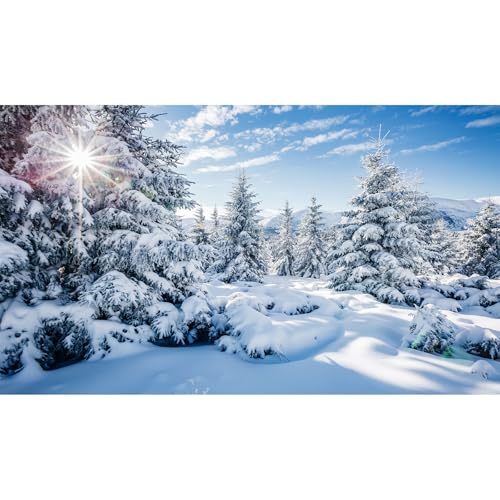 Winter Scenery Aquarium Background Majestic Snowy Spruces Fish Tank Background Snow Covered Frosty Wintry Natural Landscape Terrarium Backgrounds Winter View Reptile Tanl Backgrounds 24x12in - color: Sunny Blue, size: 24(W)x12(H)inches/ 60(W)*30cm(H)