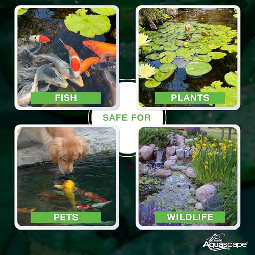 Aquascape Dry Beneficial Bacteria for Pond and Water Features, 8.8 Ounce (Pack of 1), 98948 , white - size: 0.55 lb
