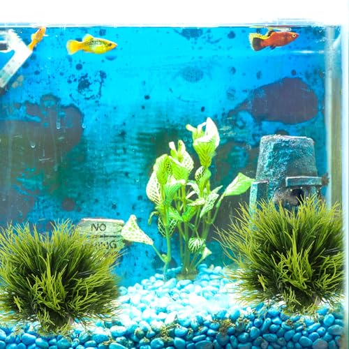 Telooco 3 Pack Aquarium Plants Plastic Realistic Fish Tank Plants with Weighted Base Small Aquarium Grass Fish Tank Decorations (Green) - color: Green