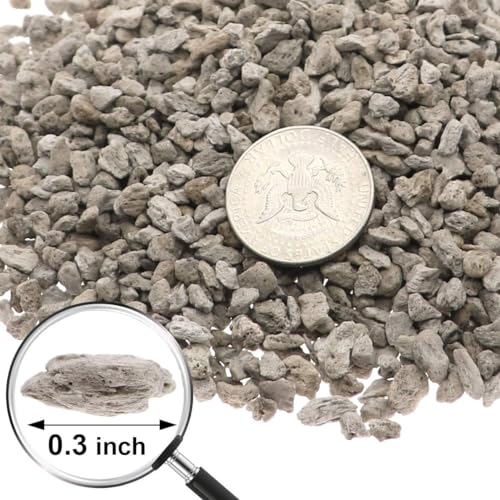 TOYPOPOR Horticultural Bonsai Pumice Succulent Cactus Plants Garden Turface Pumice Gravel Rock Tree Soil Additive Faster Draining Blend, Optimal Drainage, Improves Soil Aeration and Promotes Root 6lbs - color: Pumice Rock, size: 6 lb