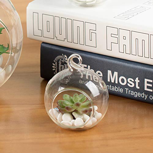 WGV Hanging Terrarium Globe, Width 2.5", Height 3", DIY Air Succulent Planter, Clear Glass Vase Orb with Flat Bottom, Candle Holder for Windowsill Outdoor Garden Decor, 6 Pieces Bulk - size: 2.5" Flat Bottom