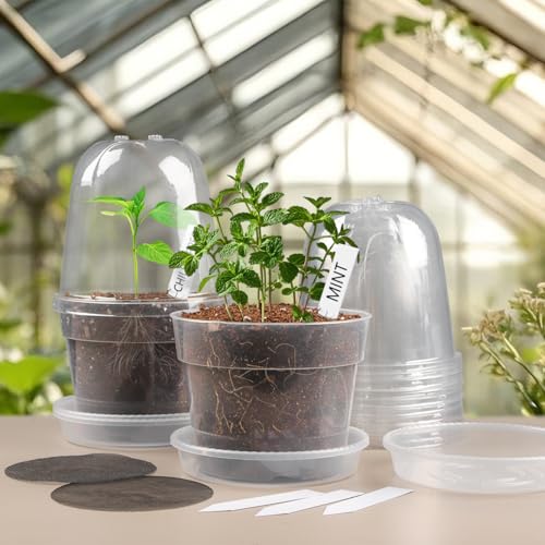 BTPLASTIK 6 Inch Clear Nursery Pots with Humidity Domes 15 Pack, Transparent Plastic Plant Pot with Drainage Holes and Saucers, Seed Starter Pots with 15 Pcs Plant Labels and 15 Pcs Soil Screens - size: 6Inch-15P-with Humidity Domes