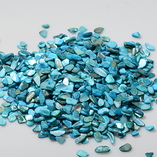 QICQDRAM Crushed Shells for Crafts About 1LB (405g/14.28oz) Small Natural Crushed Shells Bulk for Crafts DIY Beaching Wedding Decoration Vase Fillers (Light Blue) - color: Light Blue, size: 1LB (405g/14.28oz)