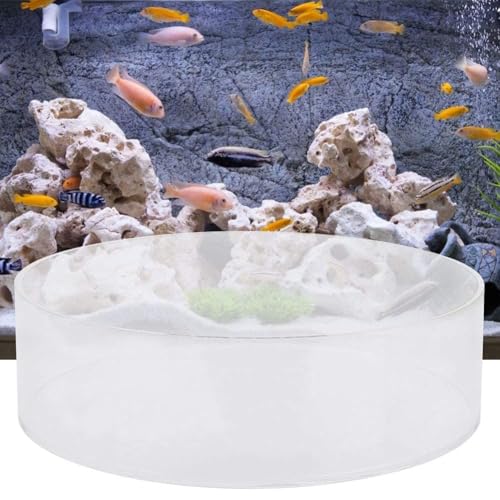 Tnfeeon Fish Acrylic Observe Lense Viewer Aquarium Fish Photograph Cylinder Magnifier